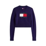 Tommy Hilfiger Işıltılı Bayrak Desenli Kazak, L, P69068S9102, MOR, Kadın L