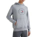 Tommy Hilfiger MW0MW27842-ZN2 Gri Erkek Sweatshirt
