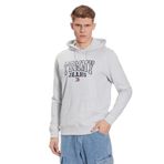 Tommy Hilfiger Tjm Reg Entry Graphic Hoodie Gri Erkek Sweatshirt