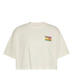 Tommy Hilfiger Tjw Ovs Crp Summer Flag Tee Beyaz Kadın T-shirt