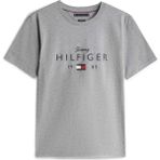 TOMMY HILFIGER TOMMY HILFIGER Erkek Marka Logolu Günlük Kullanıma Uygun Koyu Gri T-Shirt MW0MW41455 P91