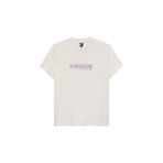 Tommy Jeans Bisiklet Yaka Baskılı Beyaz Erkek T-Shirt DM0DM22333YBH Beyaz T-Shirt