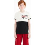 Tommy Life 11107 Ekru Baskı Detaylı Renk Bloklu Standart Kalıp O Yaka Erkek Çocuk T-Shirt