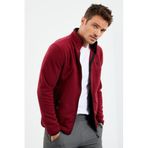 Tommy Life 87992 Erguvan Erkek Yazı Nakışlı Dik Yaka Fermuarlı Standart Kalıp Sweatshirt Polar