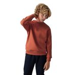 TOMMY LIFE Erkek Çocuk Sweatshirt, Kiremit, Pamuklu, Kalın İçi Tüylü, Yumuşak Dokulu, Standart Fit, Nakışlı, 11-12 Yaş