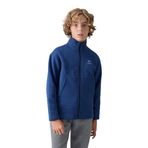 TOMMY LIFE Erkek Çocuk Sweatshirt, Parlament, Pamuklu, Kalın İçi Tüylü, Standart Fit, 12-13 Yaş