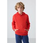 TOMMY LIFE Fiesta Pamuklu Kalın Içi Tüylü Yumuşak Dokulu Standart Fit Baskılı Erkek Çocuk Sweatshirt - 11215