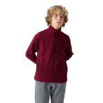 TOMMYLIFE Siyah Kalın Yumuşak Dokulu Standart Fit Nakışlı Polar Erkek Çocuk Sweatshirt - 11223