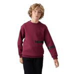 TOMMYLIFE Siyah Pamuklu Kalın İçi Tüylü Yumuşak Dokulu Standart Fit Baskılı Erkek Çocuk Sweatshirt - 11238