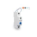 Tomzn Akıllı Voltaj ve Akım Koruma Rölesi, Sıcaklık Korumalı WiFi SmartLife Tuya 63A - Tek Kutup