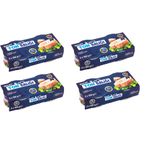 Ton Balığı İri Parçalı 2x160 Gr*4