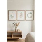 Tontilika Soft Minimal Doğa Çizimleri 3’lü Ahşap Çerçeveli Tablo Seti - Modern ve Sade Duvar Dekoru