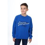 Toontoy Erkek Çocuk Baskılı Sweatshirt Saks 13-14 YAŞ