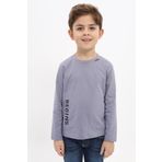 Toontoy Erkek Çocuk Baskılı Tişört Gri 3 YAŞ