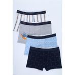 Toontoy Erkek Çocuk Çizgili Desenli Baskılı 4lü Paket Boxer
