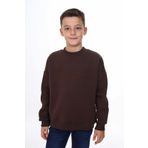 Toontoy Erkek Çocuk Nakışlı Sweatshirt Kahverengi 12-13 YAŞ