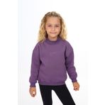 Toontoy Kız Çocuk Nakışlı Sweatshirt Mor 2 YAŞ