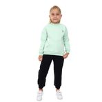 Toontoy Kız Çocuk Yarım Balıkçı Yaka Göğsü Nakışlı Eşofman Takım Mint Yeşili 2 YAŞ