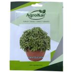 Top Fesleğen Tohumu 1 gr