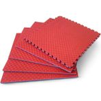 Top Glory Mavi Kırmızı 100x100x2.6 cm Tatami Minderi