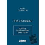 Toplu İş Hukuku (Ciltli)