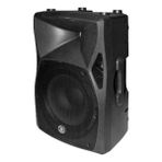 Topp Pro X10 - 10" Pasif Kabin Hoparlör 120/480 Watt - Siyah