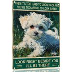TopPacific Malta Köpek Tabelası Retro Metal Teneke Tabela Hemen Yanınıza Bakın Köpek Aşığı Tabelası Dış Mekan ve İç Mekan Duvar Posteri Ev Bar Mağaza Süslemeleri Kahve Vintage Tabela Hediye 12X8 inç