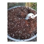 toprak 4 Litre Özel Sukulent Succulent Karışımı Elde Yapım Echeveria Süper Kaliteli Zengin