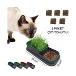 Topraksız Kedi Çimi Kabı - Renkli