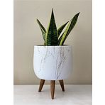 Topsan - Ahşap Ayaklı Gold Mermer Desenli Tombul Beyaz Saksı 18cm