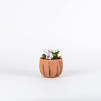 TOPSAN Collita Tombul Antik Kaktüs ve Sukulentlik Saksı (Kahverengi)