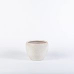 TOPSAN Tamago Kahverengi Granit Desenli Beyaz Kaktüs ve Sukulentlik Saksı (Bronz-Beyaz)