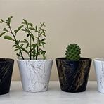 TOPSAN Yume Gold Mermer Desenli Siyah ve Beyaz Kaktüs Ve Sukulentlik 4'lü Saksı