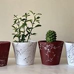 Topsan Yume Siyah Mermer Desenli Beyaz Ve Beyaz Mermer Desenli Bordo Kaktüs Ve Sukulentlik 4'lü Saksı