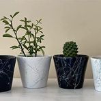 Topsan Yume Turkuaz Mermer Desenli Siyah Ve Beyaz Kaktüs Ve Sukulentlik 4'lü Saksı