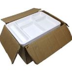Toptan Plastik Tabldot Tabağı