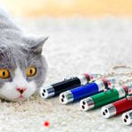 Toptan Ucuz Al 3 Fonksiyonlu Kırmızı Beyaz Işıklı LED Lazer Kedi Köpek Oyuncak Anahtarlık