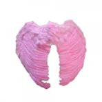 Toptanbulurum Küçük Pembe Melek Kanadı Kostümü