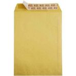 Torba Zarf 13x17cm Formula 100gr (500 lü Koli)