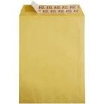 Torba Zarf 24x32cm Formula 100gr (50 Li Paket)