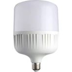 Torch Ampul 6500K 40W