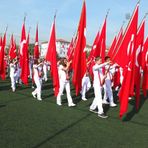 Tören Bayrağı + Tören Direği + Hamayil