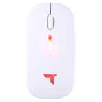 Torima Ergonomik Rgb Işıklı Kablosuz Beyaz Optik Mouse TM-12
