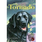 Tornado - Betsy Byars