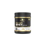 Torq Nutrition 490 gr Çikolata Aromalı Gold Whey Protein