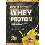 Torq Nutrition Gold Whey Protein 35 gr Limon Aromalı 24,4 g Protein İçeren Yetişkinler İçin Besin