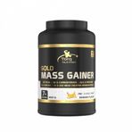 Torq Nutrition TORQ NUTRİTİON Gold Mass Gainer 1400g - Muzlu