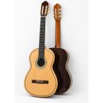 Torres CG70 Profesyonel Klasik Gitar 4/4 Masif Ladin Üst Kapak Sahne & Konser Serisi - Açık Kahve