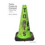 Torts: Cases and Context, Volume Two (Pylon Edition, Version 2.1) (Torts: Cases & Context, Band 2)