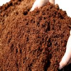 Toru Bahçe Cocopeat Hindistan Cevizi Torfu Lifi 10 Lt %100 Doğal Katkısız